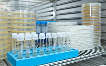 用于储存温度敏感型药品和疗法的医药冷链存储