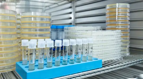 用于储存温度敏感型药品和疗法的医药冷链存储